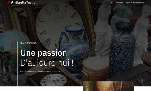 https://www.antiquite-passion.fr/